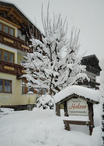 Haus Holzer Apartment Dorfgastein Exterior photo